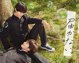 红旗渠最后一集海报剧照