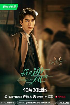 代理真的还是假的海报剧照